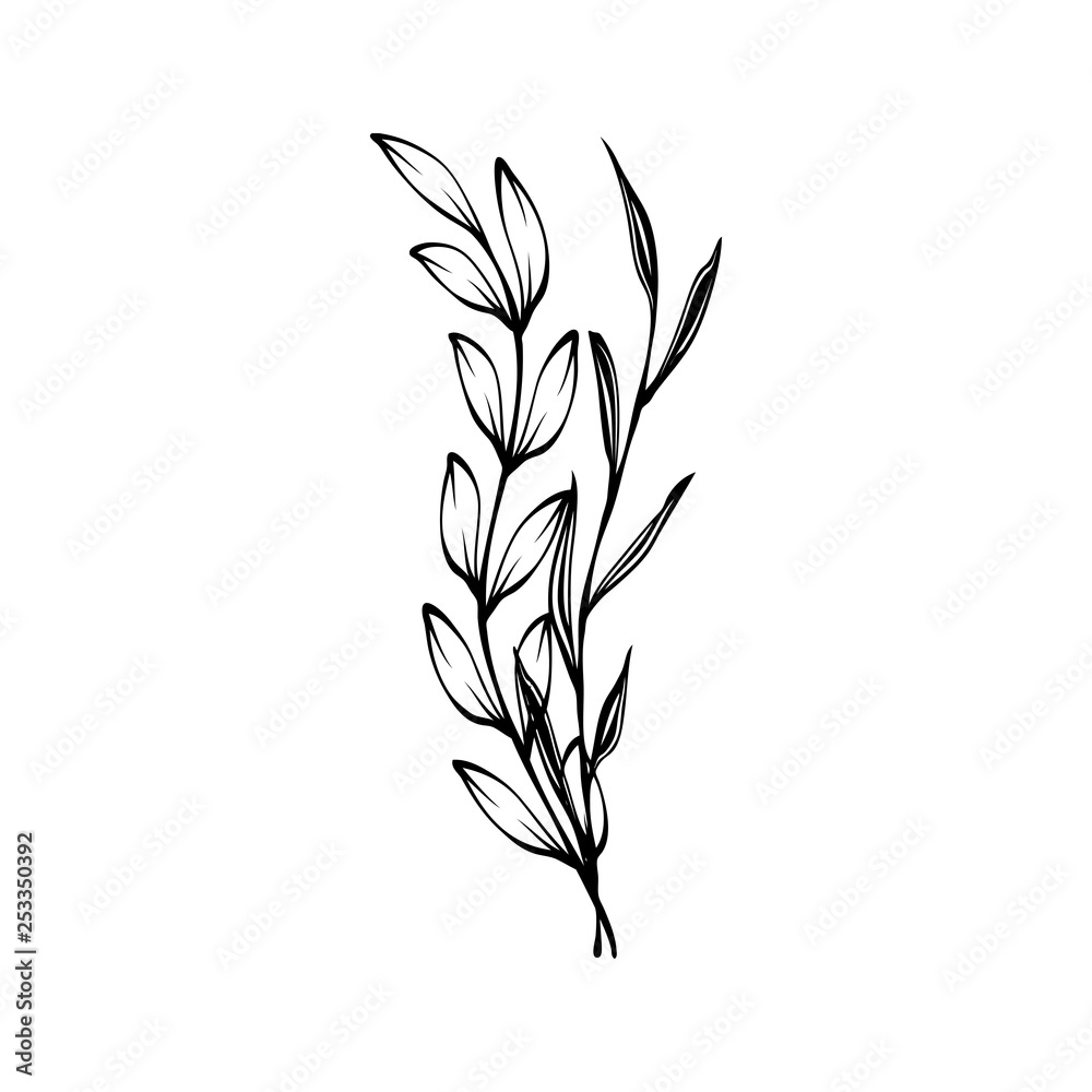 vector laurel wreath