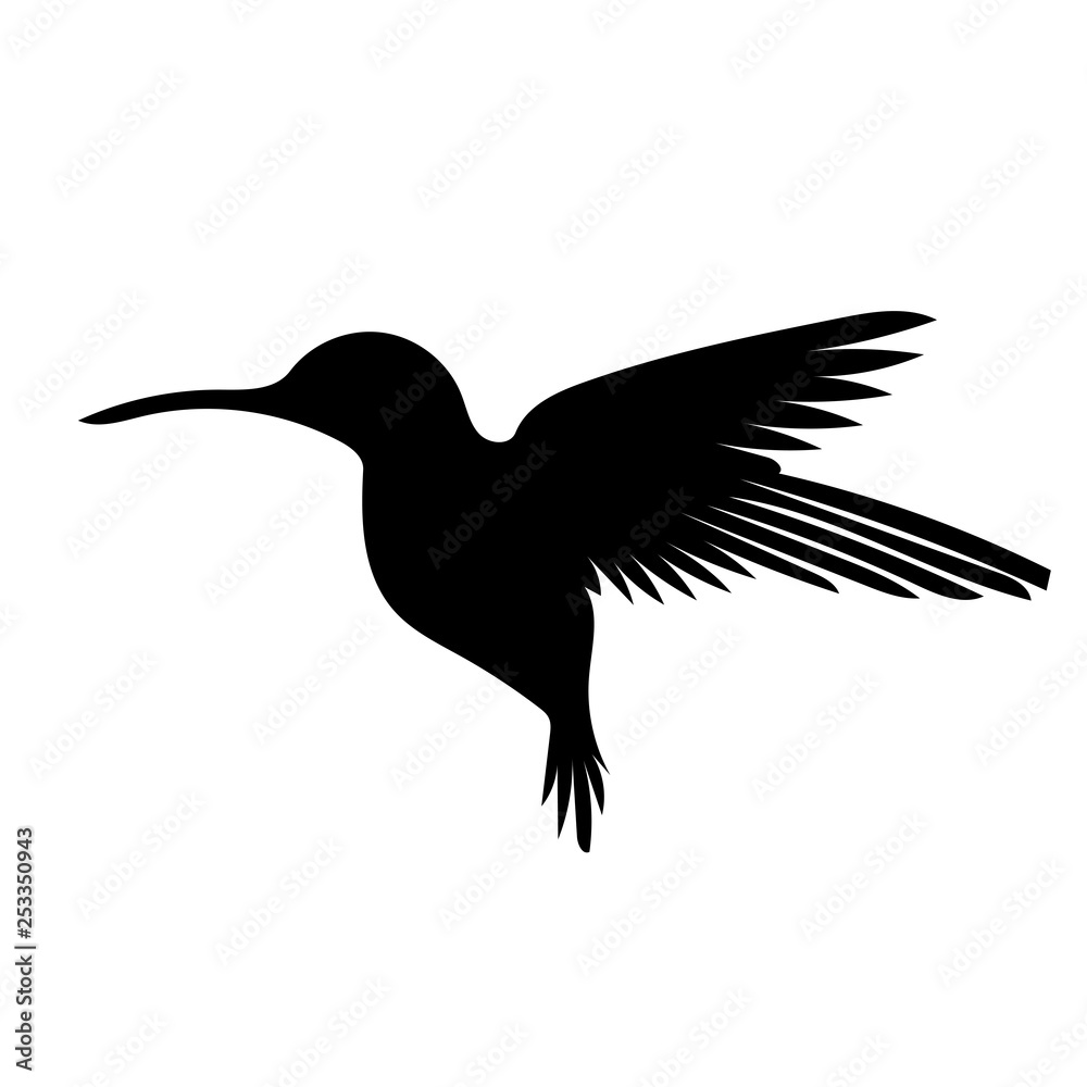 bird bird