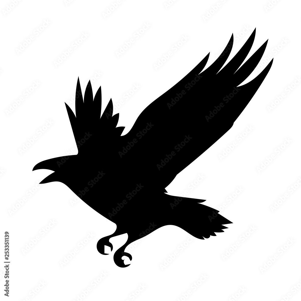 bird bird