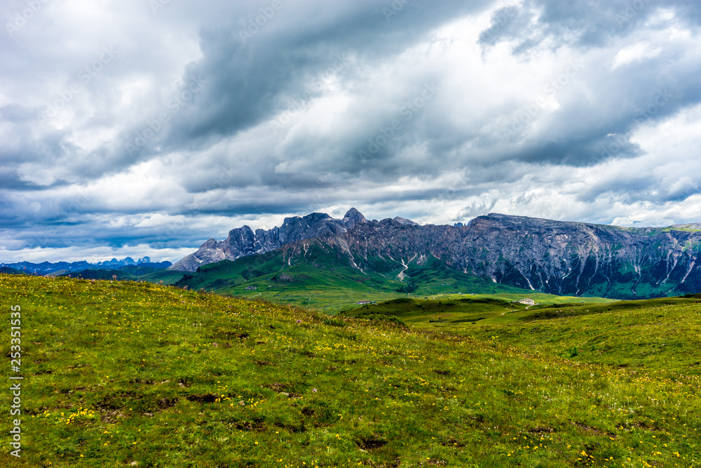 Alpe di Siusi, Seiser Alm with Sassolungo Langkofel Dolomite, a large green field with a mountain in the background