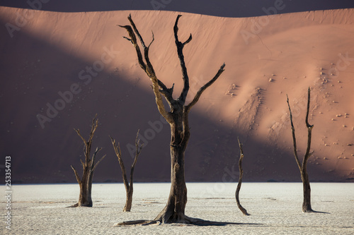 Foto Deadvlei in Sossusvlei National Park in Namibia, Summer 2019