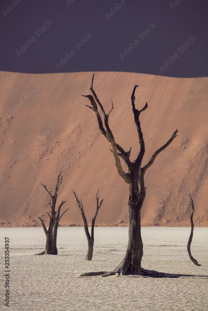 Deadvlei in Sossusvlei National Park in Namibia, Summer 2019 Deadvlei in Sossusvlei National Park in Namibia, Summer 2019