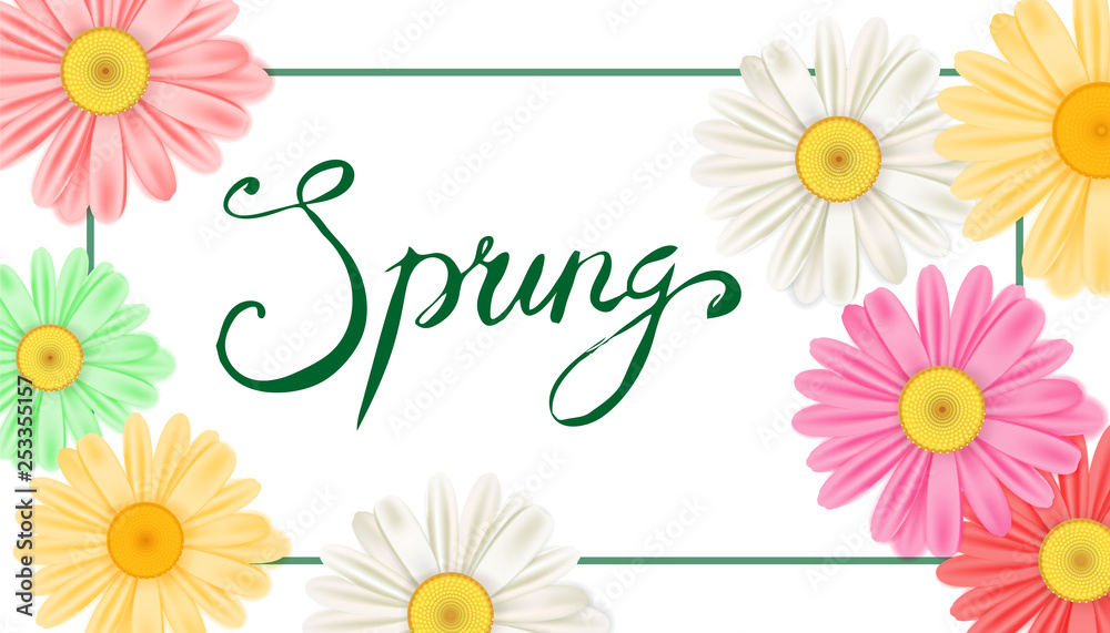 Spring banner. Hand drawn lettering. Background with chamomile, daisy. Spring Time template, flyer, posters, brochure. Happy spring Day. Fashionable styling. Flower vector isolated