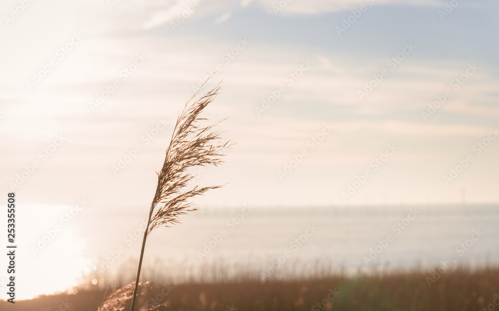 Auszeit am Meer