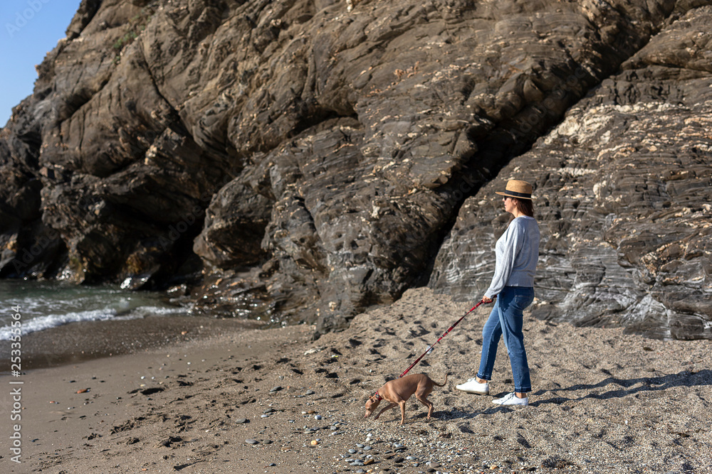 Beautiful brunette woman playing with dog on the beach Beautiful brunette woman playing with dog on the beach