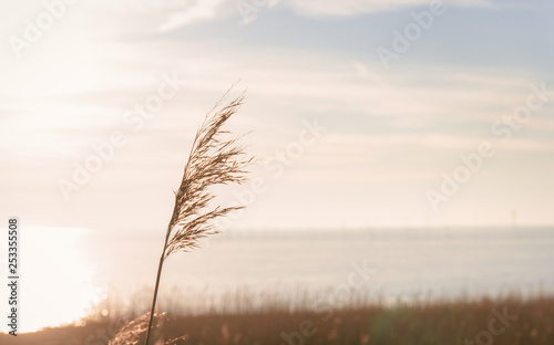 Obraz na płótnie Auszeit am Meer w salonie