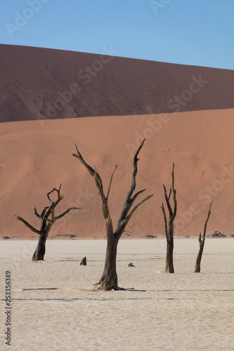 Deadvlei in Sossusvlei National Park in Namibia, Summer 2019
