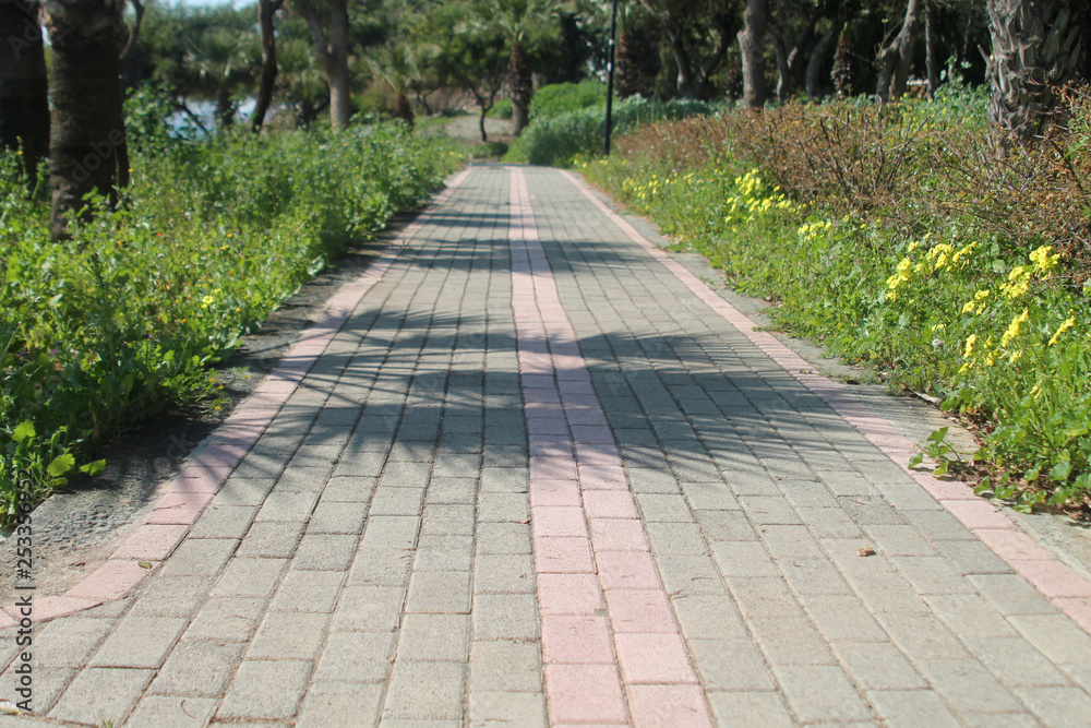 Stone pathway in a par