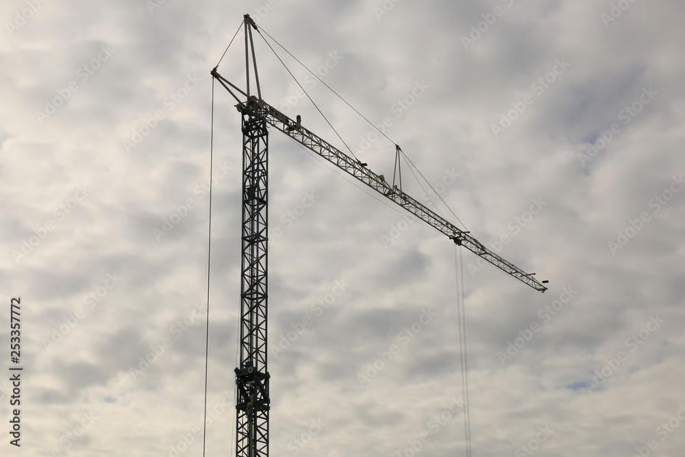 Building Crane