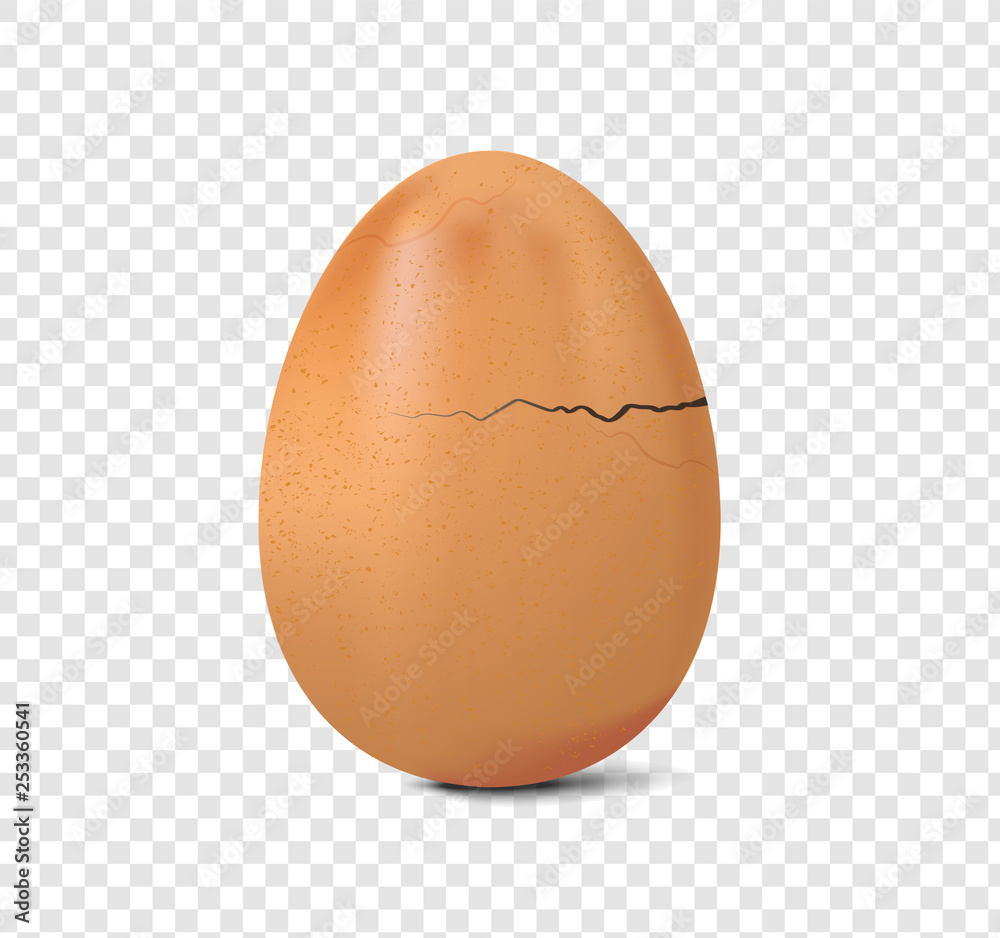 fresh chicken egg crack vector on transparency background, realistic broken egg illustration fresh chicken egg crack vector on transparency background, realistic broken egg illustration