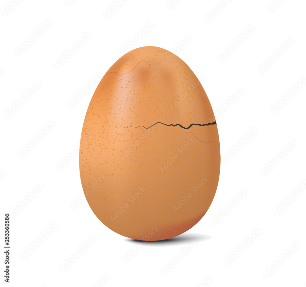 fresh chicken egg crack vector on white background, realistic broken egg illustration fresh chicken egg crack vector on white background, realistic broken egg illustration