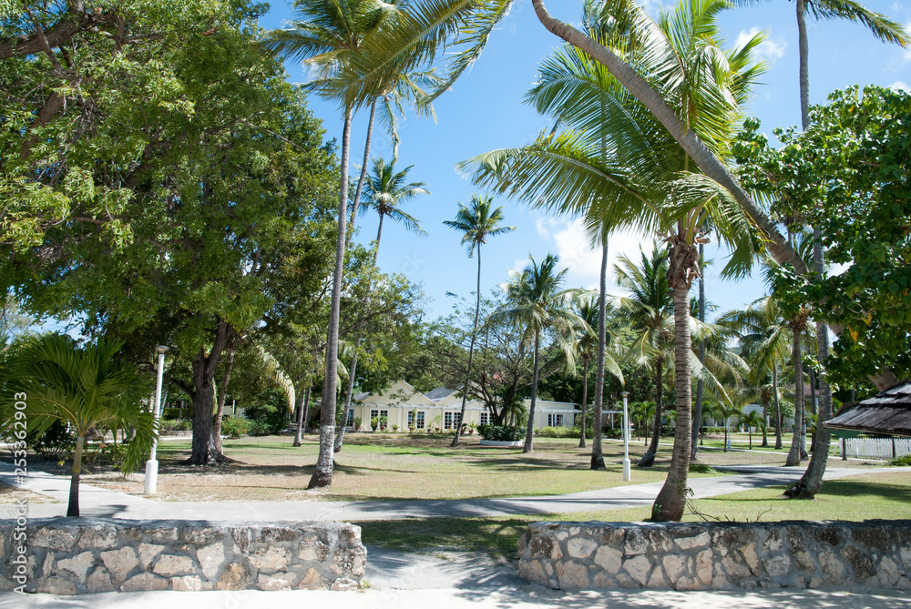 Fototapeta premium Antigua Island Beach Park