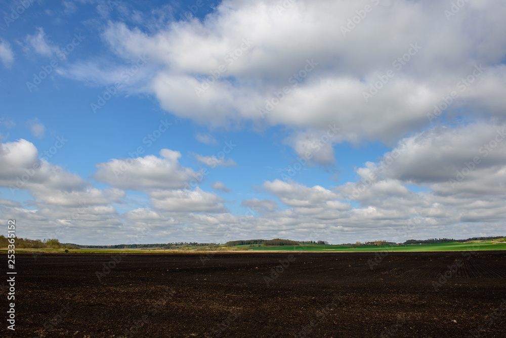 green cultivated fields in countryside