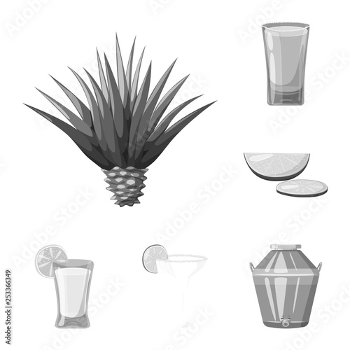 Vector illustration of fajita and fiesta symbol. Collection of fajita and celebration stock symbol for web.