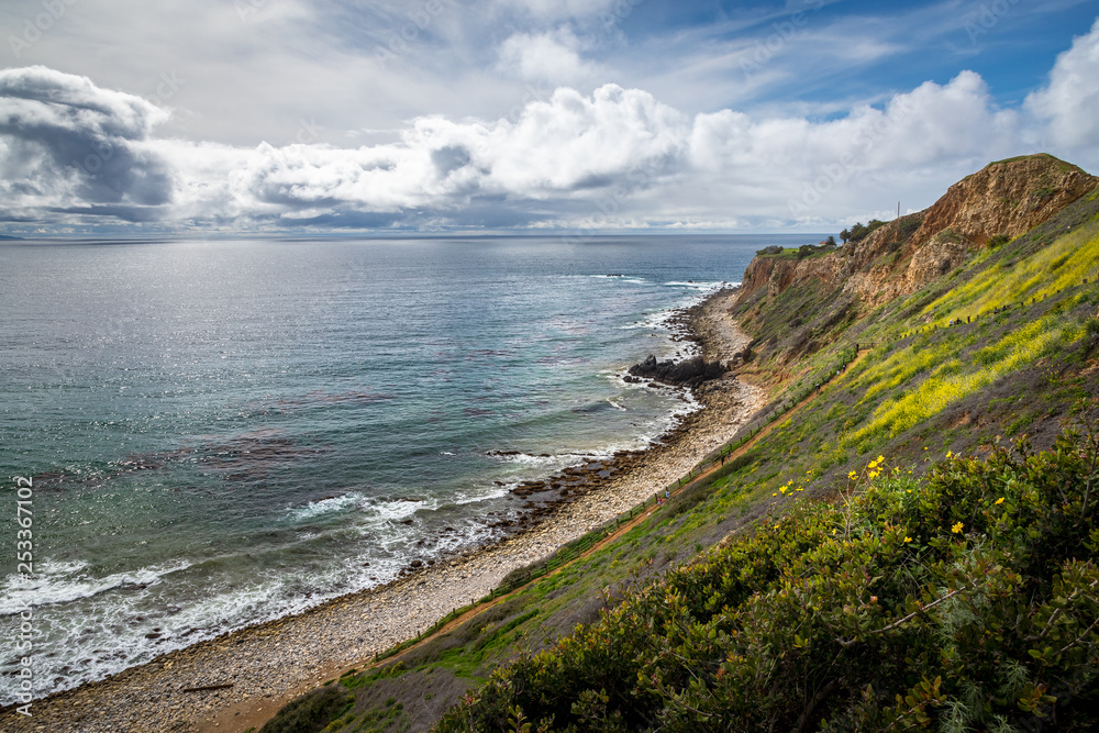 Pelican Cove Super Bloom