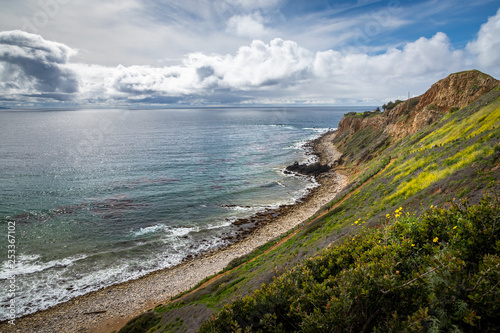 Pelican Cove Super Bloom