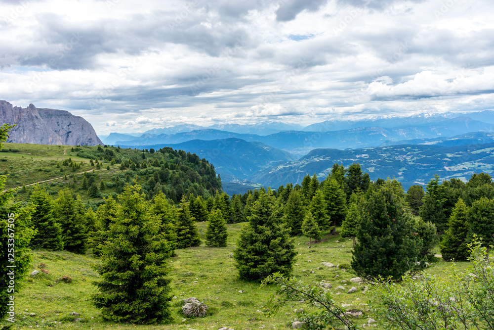 Naklejka premium Alpe di Siusi, Seiser Alm with Sassolungo Langkofel Dolomite, a large green field with a mountain in the background