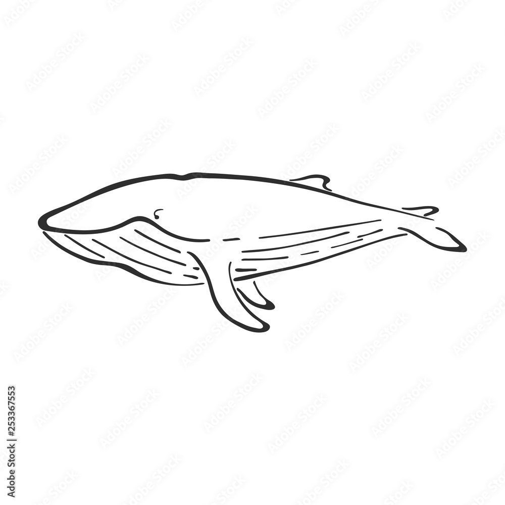 Whale character abstract ink hand drawn vector logo cartoon. Retro illustration. Marine wild mammal. Ocean and sea animal curve paint sign. Doodle sketch. Element for design, wallpaper, fabric print. Whale character abstract ink hand drawn vector logo cartoon. Retro illustration. Marine wild mammal. Ocean and sea animal curve paint sign. Doodle sketch. Element for design, wallpaper, fabric print.