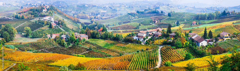 scenic nature. Golden vineyards of Piemonte. famous vine region of Italy