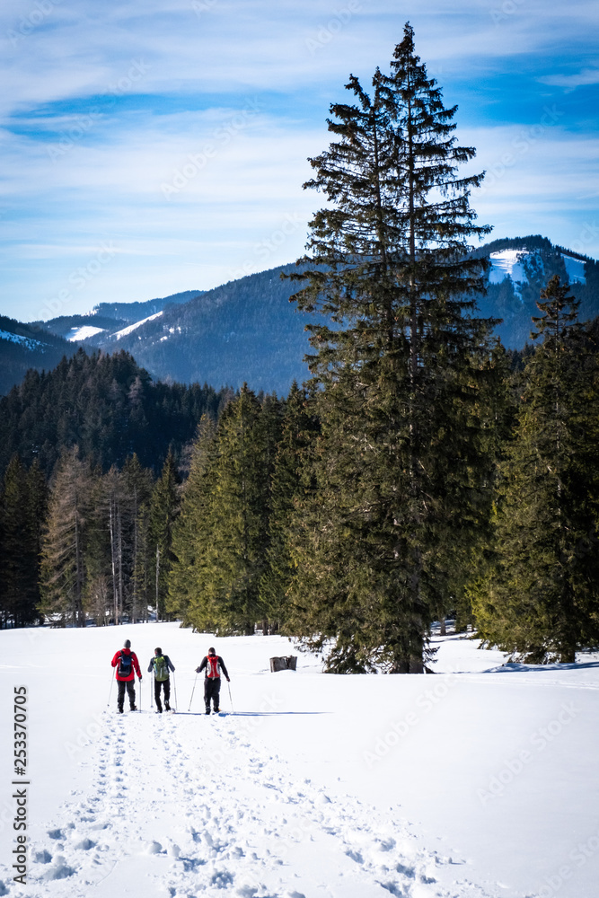 Adults snowshoeing thruogh field in Kaiserau with mountain Rottenmanner Tauern