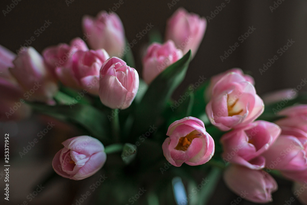 Fototapeta premium A bouquet of spring beautiful flowers. Fresh Pink tulips.
