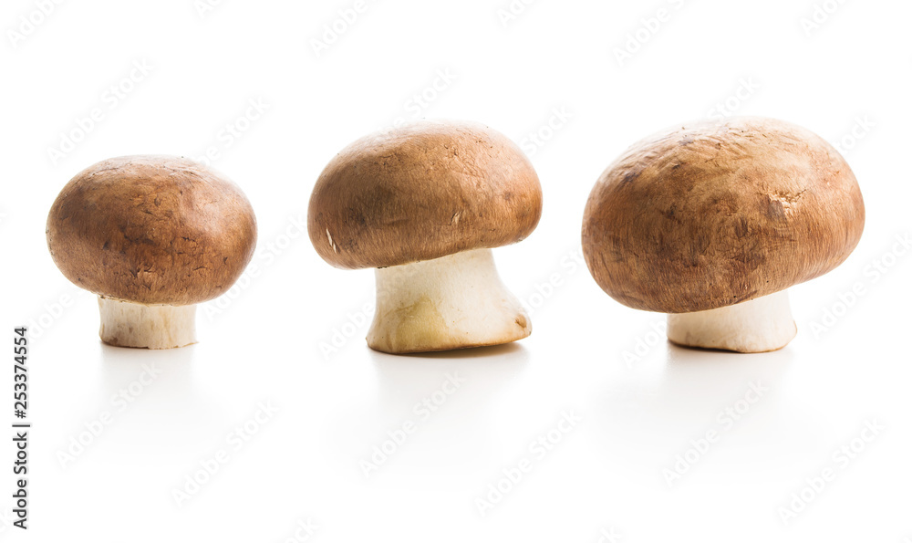 Fresh champignon mushrooms.