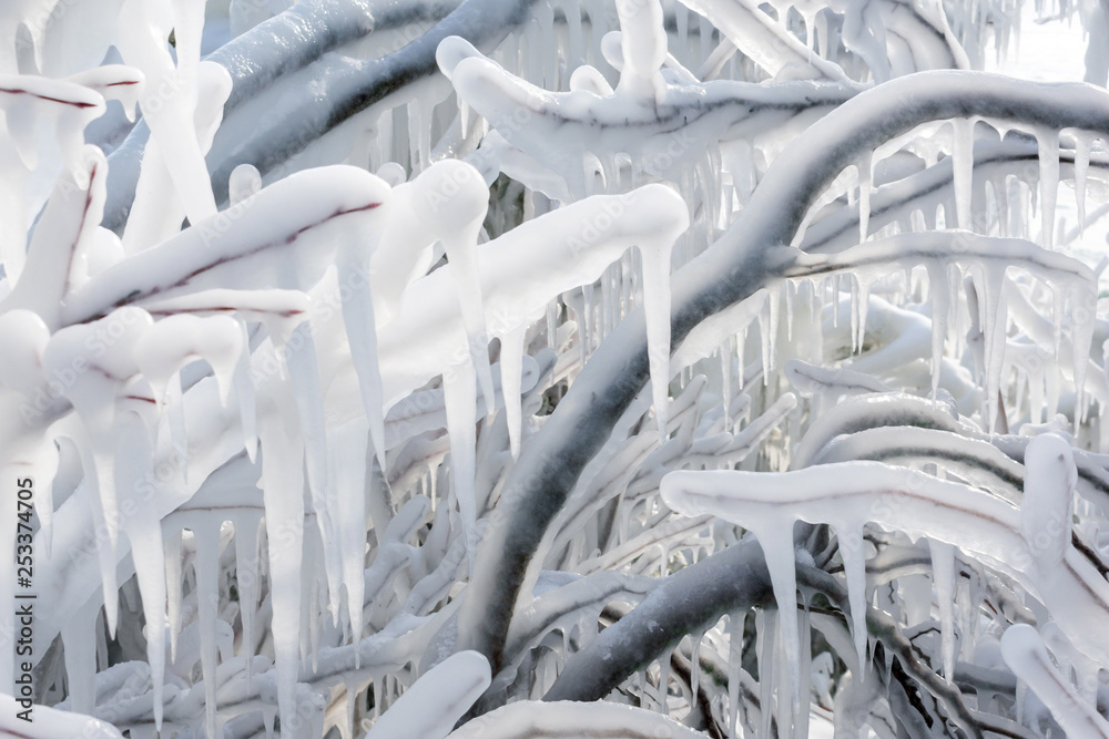 Ice coated tree branches - nature background Ice coated tree branches - nature background