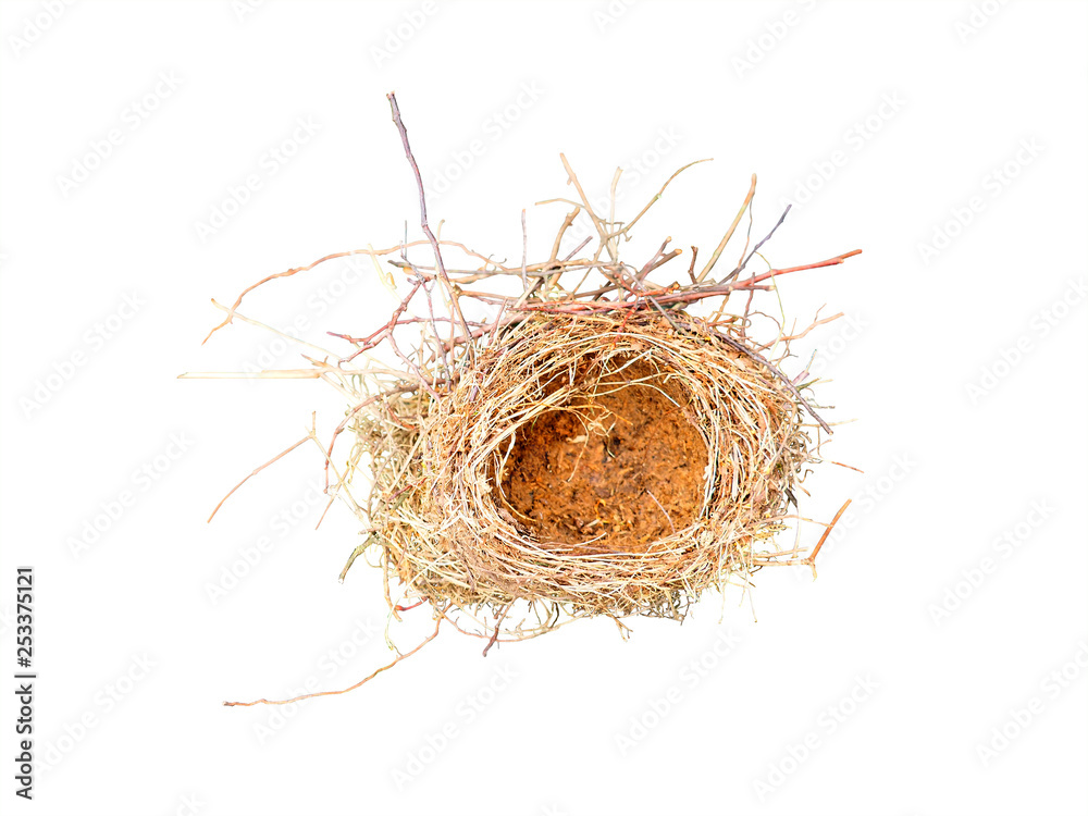 Obraz premium Empty bird nest isolated on white background, top view