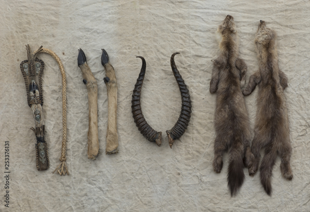 horns, hooves,fur skins of animals,whip,poaching