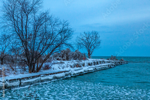 Wallpaper Mural Mississauga, Canada, February 14, 2019: winter idyll of frozen trees and shores of Lake Ontario near Toronto, Canada Torontodigital.ca