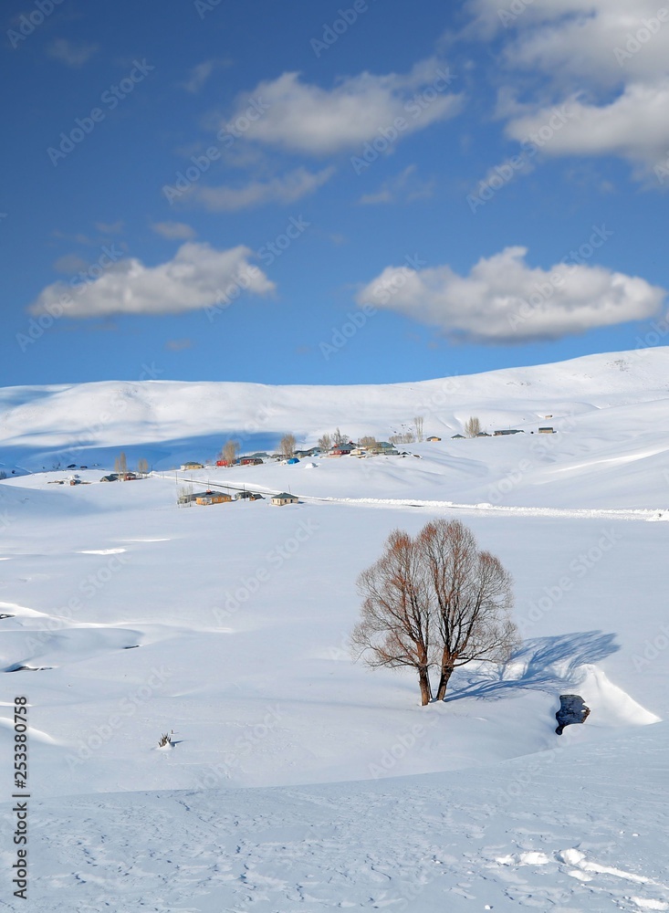fabulous winter photos .Bingol Turkey fabulous winter photos .Bingol Turkey