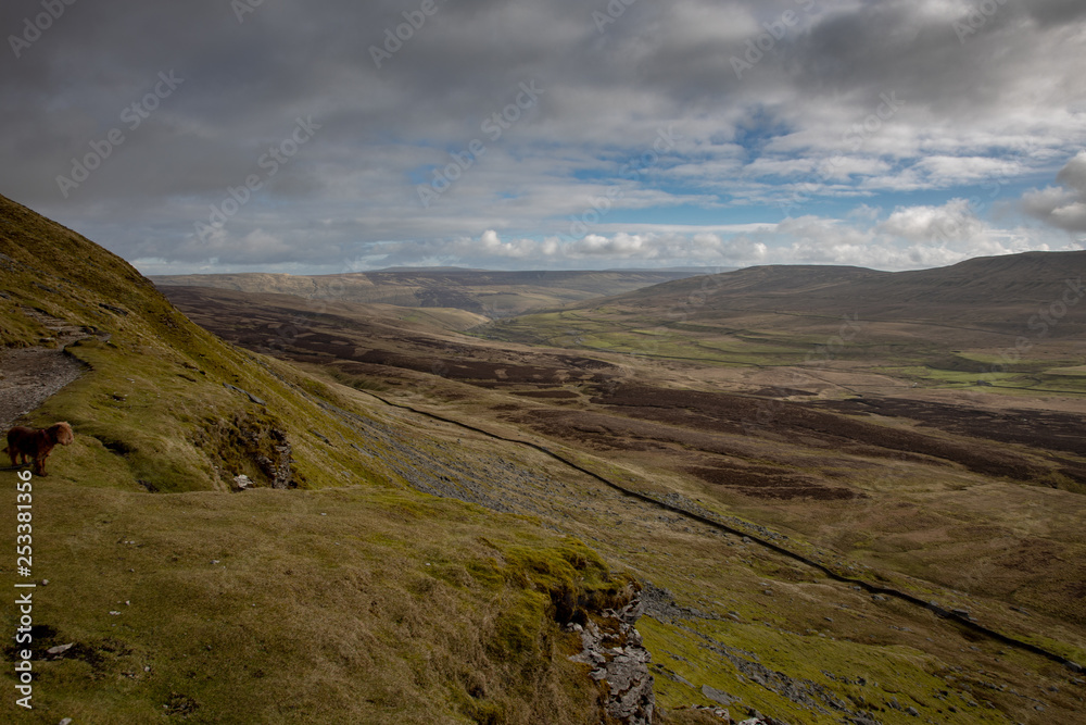 Penyghent Yorkshire dales