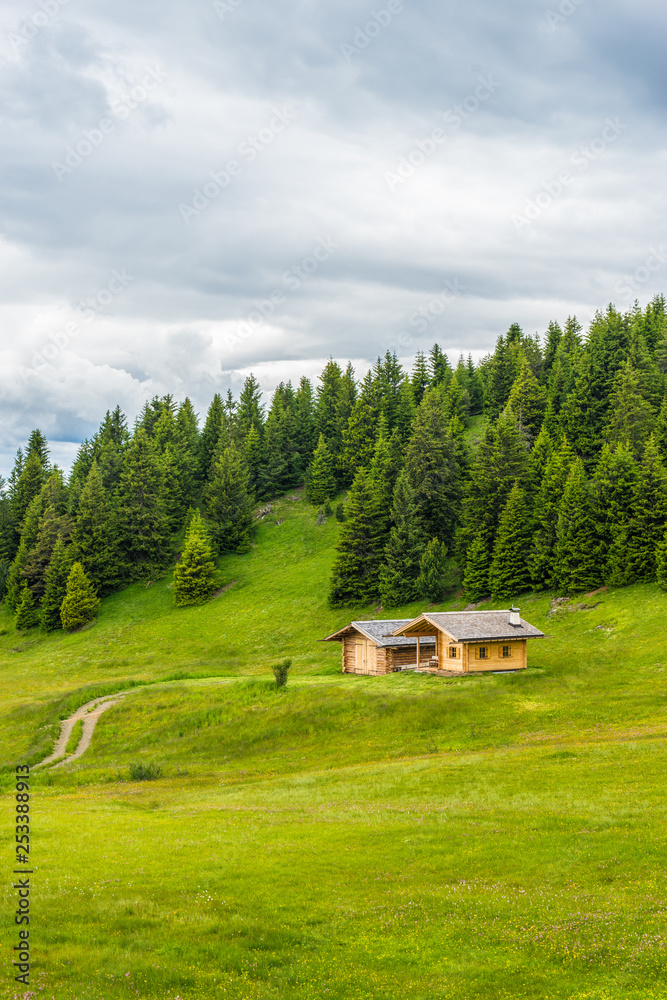 Alpe di Siusi, Seiser Alm with Sassolungo Langkofel Dolomite, a close up of a lush green field with queer house Alpe di Siusi, Seiser Alm with Sassolungo Langkofel Dolomite, a close up of a lush green field with queer house
