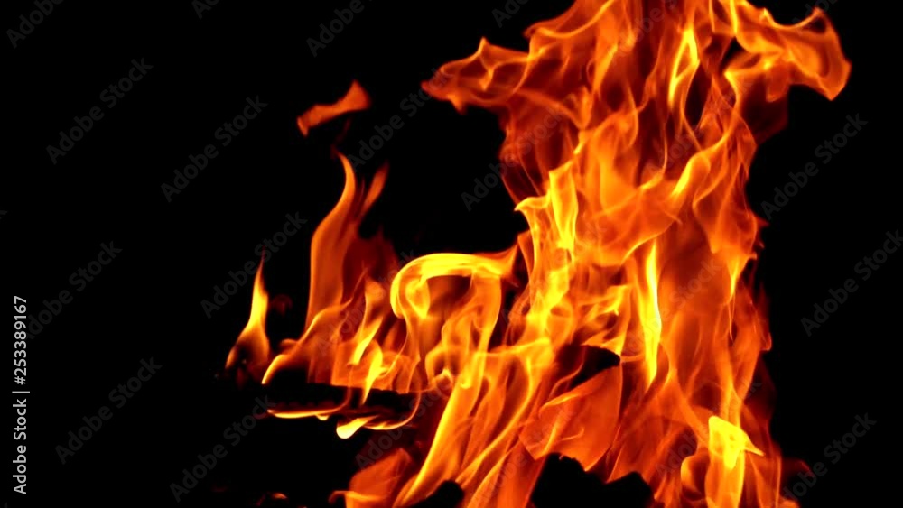 Burning Wood. Burning fire at night, campfire bonfire. Slow motion Burning Wood. Burning fire at night, campfire bonfire. Slow motion