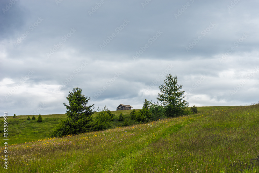 Alpe di Siusi, Seiser Alm with Sassolungo Langkofel Dolomite, a large green field with trees in the background Alpe di Siusi, Seiser Alm with Sassolungo Langkofel Dolomite, a large green field with trees in the background
