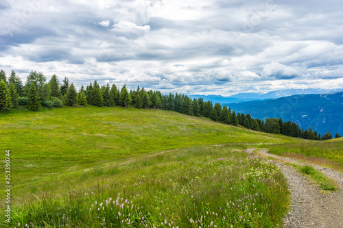 Alpe di Siusi, Seiser Alm with Sassolungo Langkofel Dolomite, a trekking walking winding path in a lush green field