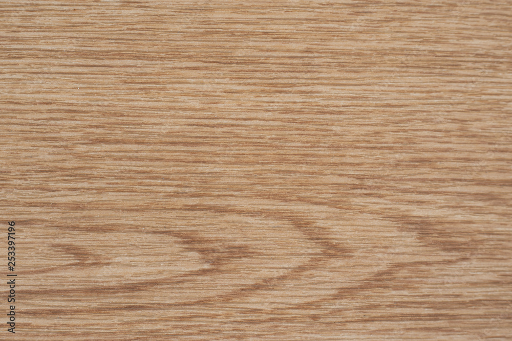 Texture of wood background closeup Texture of wood background closeup