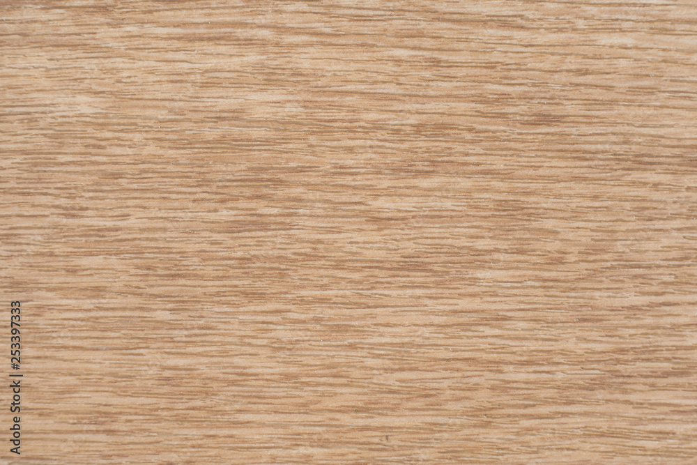 Texture of wood background closeup Texture of wood background closeup