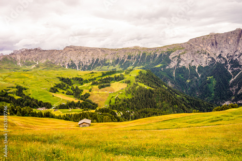 Alpe di Siusi, Seiser Alm with Sassolungo Langkofel Dolomite, a large green field with a mountain in the background