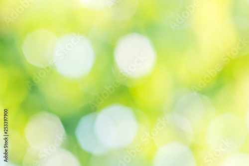 Abstract spring background from blurred blooming garden, close-up