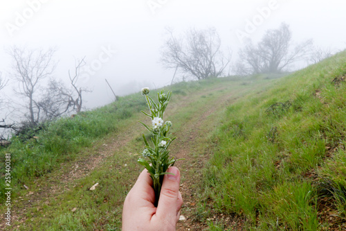 Santa Paula Califonria Outdoors in Spring on a cloudy day