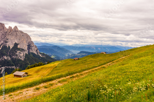 Alpe di Siusi  Seiser Alm with Sassolungo Langkofel Dolomite  a field with a mountain in the background