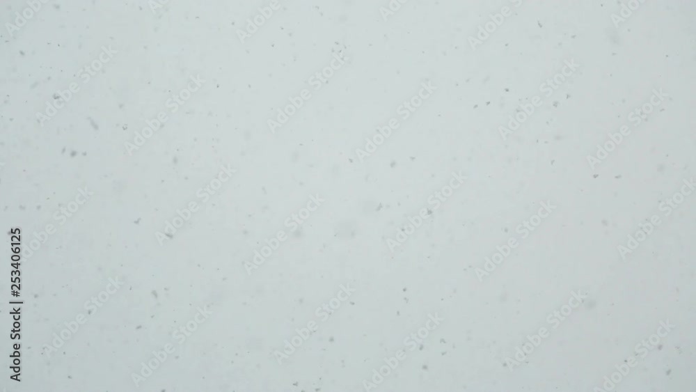 Large flakes of snow flying against the white sky. Large flakes of snow flying against the white sky.