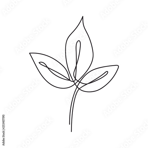 Eucalyptus leaf continuous line drawing. One line . Hand-drawn minimalist illustration, vector.