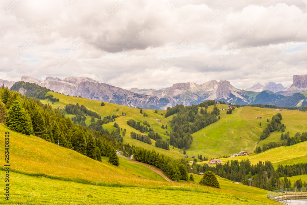 Alpe di Siusi, Seiser Alm with Sassolungo Langkofel Dolomite, a large green field with a mountain in the background