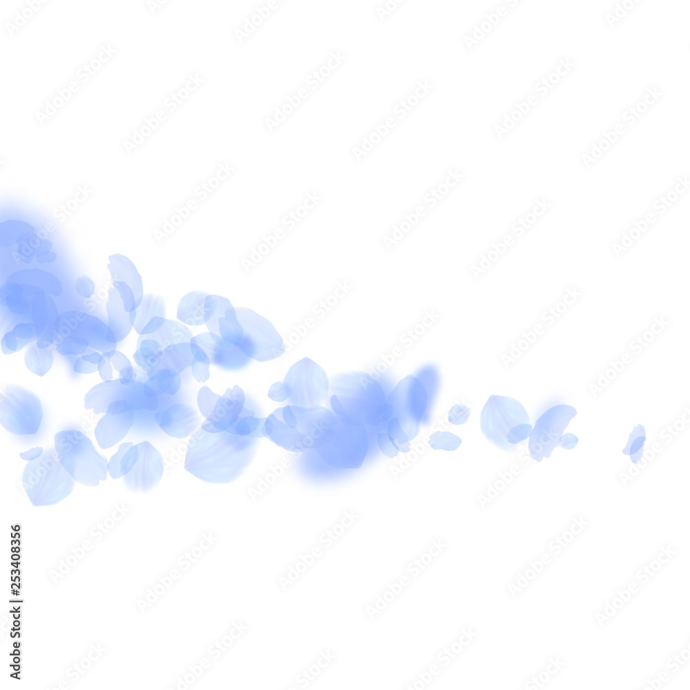 Dark blue flower petals falling down. Superb roman Dark blue flower petals falling down. Superb roman