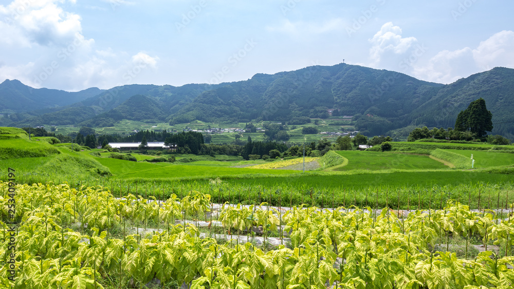 高千穂周辺の風景 高千穂周辺の風景