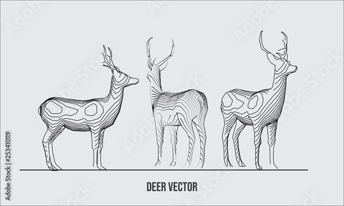 deer Reindeer vector