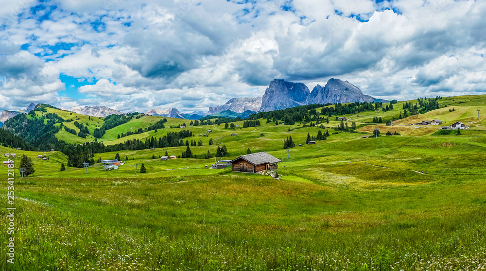 Alpe di Siusi, Seiser Alm with Sassolungo Langkofel Dolomite, a close up of a lush green field in a valley canyon panorama