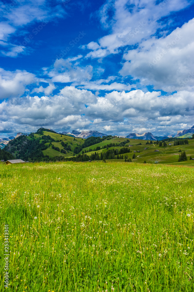 Alpe di Siusi, Seiser Alm with Sassolungo Langkofel Dolomite, a large green field with clouds in the sky